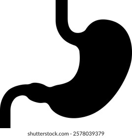 The human stomach isolated on white background