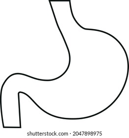 Human Stomach Line Icon. Internal Body Organ Vector Illustration.