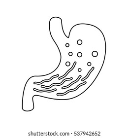 The human stomach in a linear style is insulated on white. flat vector illustrations. easy to use