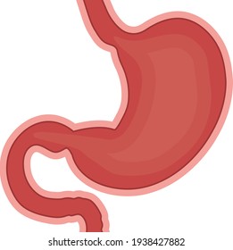 stomach cartoon