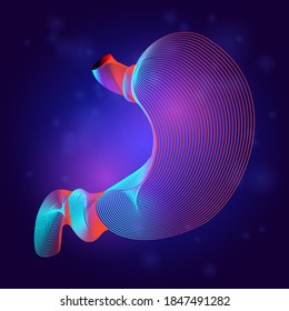 Human stomach medical structure anatomy. Outline vector illustration of body part internal organ in 3d line art style on neon abstract background