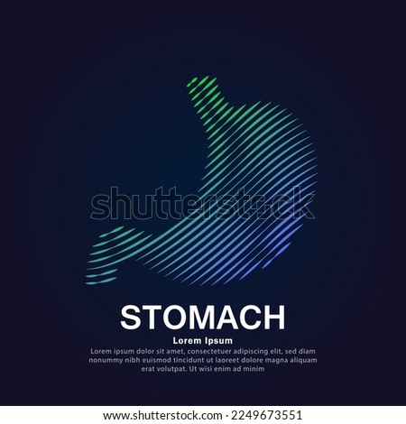 Human stomach medical structure. Vector logo stomach color silhouette on a dark background. EPS 10