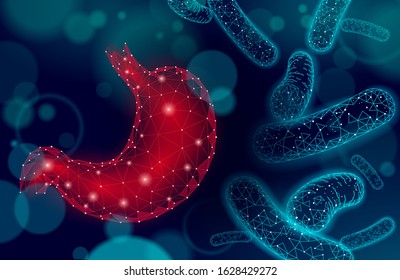 Human Stomach Microscopic 3d Low Poly Stock Vector (Royalty Free ...