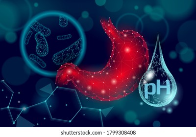 Human stomach microscopic 3D low poly render probiotics. Healthy normal digestion flora of human intestine. Modern science medicine allergy immunity thearment vector illustration