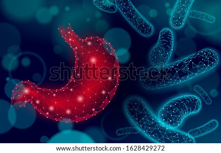 Human stomach microscopic 3D low poly render probiotics. Healthy normal digestion flora of human intestine. Modern science medicine allergy immunity thearment vector illustration