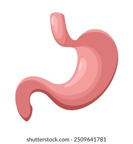 Um estômago humano com um fundo branco. Ilustração vetorial.