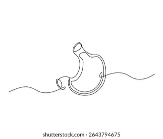 Human stomach organ outline drawing illustration. one continuous line drawing of stomach.