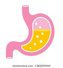 Human stomach organ vector icon isolated on white background