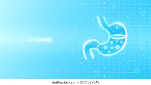 Human stomach outline glowing on blue background futuristic. Used for designing medical health care advertisements. Banner vector EPS10.