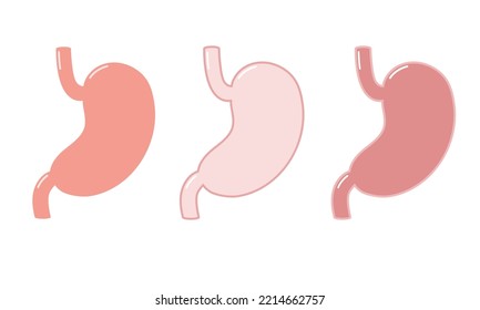 Menschlicher Magen, eine Reihe von drei Stücken. Flacher Stil. Zur Registrierung in Medizin und Gesundheitswesen.