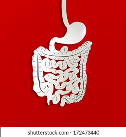 Human stomach, simple medical illustration, paper design