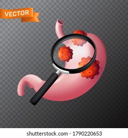 Human stomach under a magnifying glass with viral cells. Vector medical illustration of finding virus or search in the internal organ with a magnifier isolated on a transparent background