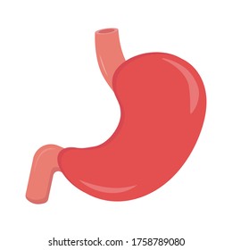 Human Stomach Vector Design Illustration Stock Vector (Royalty Free ...