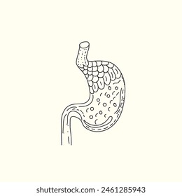 símbolo de diseño de Vector estomacal humano