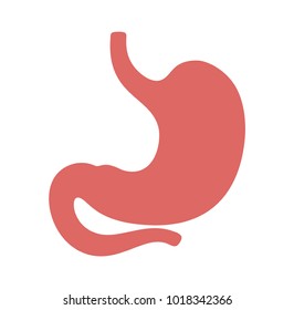 Human Stomach Vector Icon