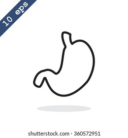 Human stomach vector icon