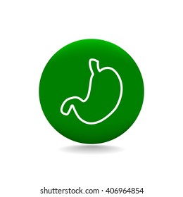 Human stomach vector icon