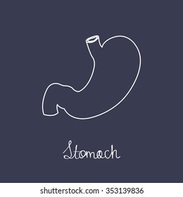 human stomach. vector illustration