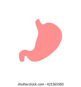 human stomach. vector illustration