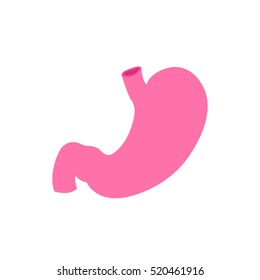 human stomach. vector illustration