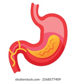 Human Stomach Vector Illustration - Detailed Anatomical Design