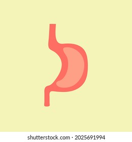 Human stomach vector isolated on  Yellow  background.