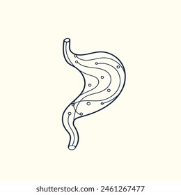 human stomach vector line icon