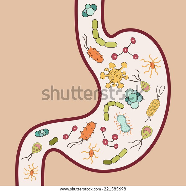 ウイルスや細菌を持つ人間の胃 ベクターイラスト のベクター画像素材 ロイヤリティフリー