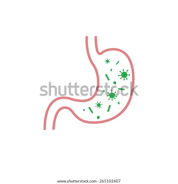 Human Stomach Viruses Bacteria Vector Illustration Stock Vector ...