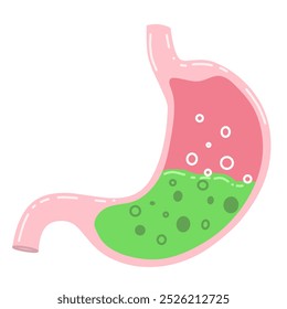 estômago humano com um ambiente ácido visível, caracterizado por bolhas e uma substância verde que pode representar ácido gástrico e alimentos parcialmente digeridos