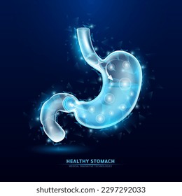 Human stomach white translucent low poly triangles on dark blue background. Futuristic glowing organ anatomy. Heart health care innovative technology.  Medical and science concept. Vector EPS10.