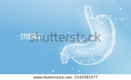 Human stomach. Wireframe low poly style. Concept for medical, treatment of the digestive system. Abstract modern 3d vector illustration on blue background. 