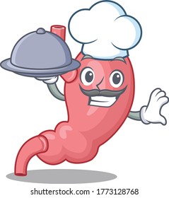 Human stomatch chef cartoon character serving food on tray