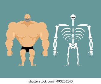 human structure. Skeleton men. Anatomy bodybuilder. construction of sportsman. Bones and skull. Athlete internal organs. man bone system