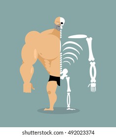 human structure. Skeleton men. construction of athlete. Bones and skull. Guy internal organs. bone system. Anatomy bodybuilder.