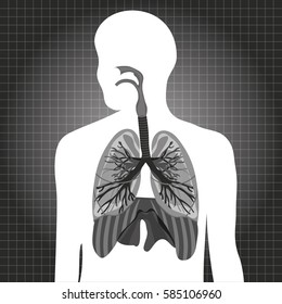 Human system respiratory vector illustration