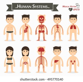 Human systems ( gastrointestinal or digestive , skeletal , cardiovascular or circulatory , respiratory , gynecological , neurological , hepatobiliary , genitourinary ) ( flat design )
