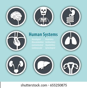 Human Systems Icon . Neurological . Musculoskeleton . Gastrointestinal . Cardiovascular . Respiratory . Genitourinary . Hepatobiliary . Gynecological .