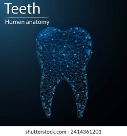 Human teeth anatomy organ translucent low poly triangle futuristic glowing. On dark blue background. Teeth system disease medical innovation concept.