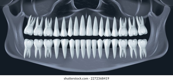 Human teeth dental anatomy concept with realistic jaw x-ray shot vector illustration