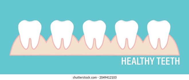 Human teeth. Dental care background. Vector illustration