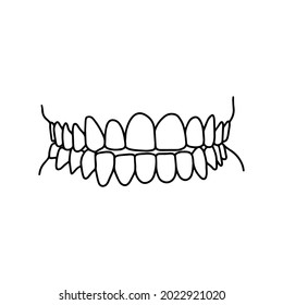 Human teeth, front view, drawn by lines on white background. Vector Stock illustration.