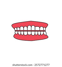 human teeth graphic vector illustration.