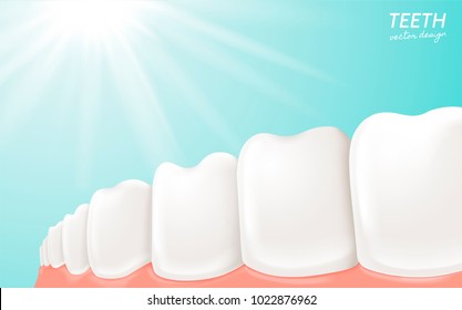 Human Teeth and gum anatomy, clean and white teeth for medical uses in 3d illustration isolated on blue background