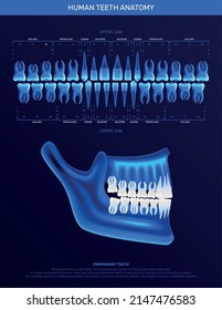 Human teeth infographics with realistic neon colored x-ray image of jaw and single teeth icons vector illustration