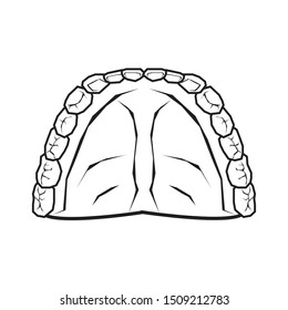 human teeth isolated icon vector illustration