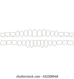 human teeth isometric vector icons set. Dental implant vector flat illustration,  for print or design