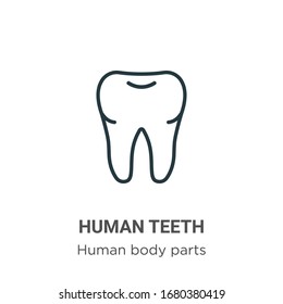 Human teeth outline vector icon. Thin line black human teeth icon, flat vector simple element illustration from editable human body parts concept isolated stroke on white background