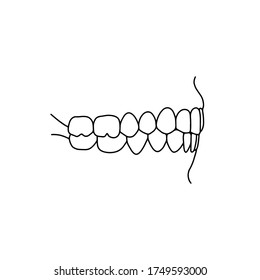 Human teeth, side view, drawn by lines on white background. Vector Stock illustration.