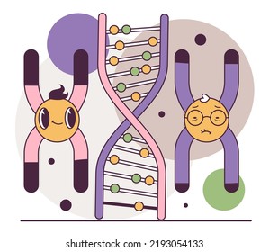 Human Telomeres Shortening. Cellular Level Of Aging. Time-dependent Accumulation Of Cellular Damage And Mutation. Flat Vector Illustration